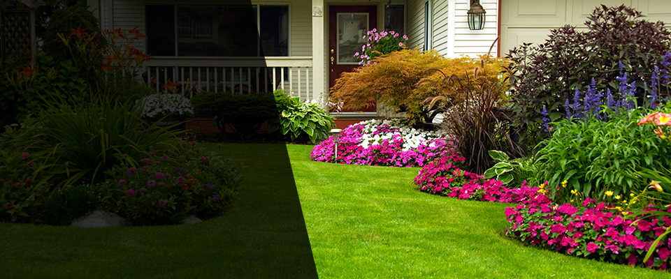 Suffolk Landscapers