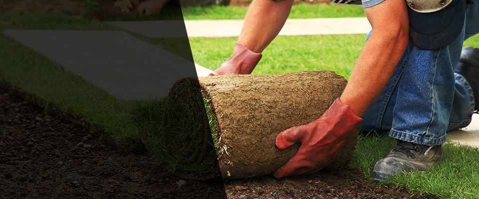 Suffolk Landscapers